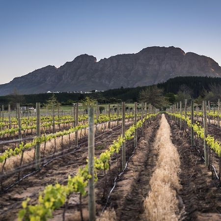 Lanzerac Hotel & Spa Stellenbosch Exterior foto